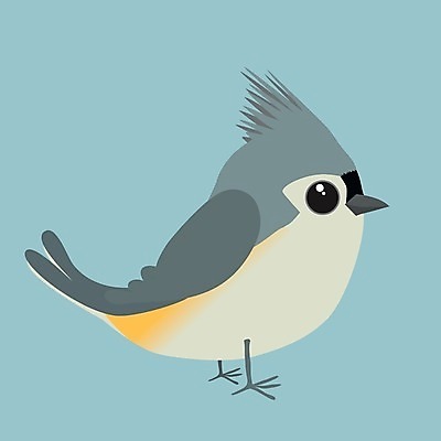 EPS 해외이미지 나무 동물 야생동물 분홍색 일러스트 자연 조류 귀여움 정원 검은색 회색 나뭇가지 숲 작음 만화 깃털 부리 코믹 계산서 해외일러스트 식물 컬러 컨셉 크기 생태계 파일형식 벡터 이미지허브