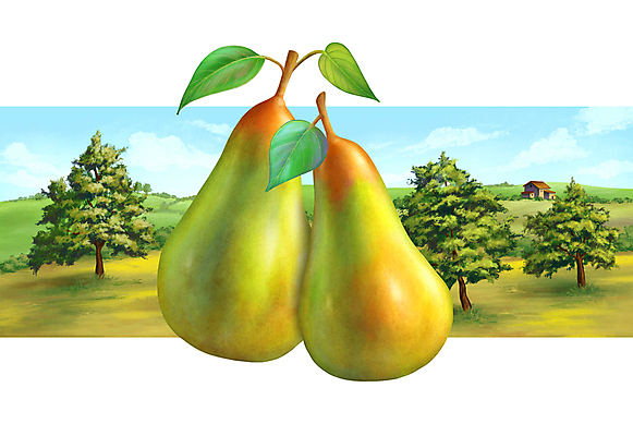 포토 JPG 해외이미지 나무 식물 구름 배너 계절 음식 잎 농업 다이어트 과일 일러스트 자연 하늘 주택 건강 미술 풍경 사람없음 초록색 여름 농장 라벨 목장 수확 시골 신선 달콤 과수원 먹기 언덕 그림 유기농 원예 내추럴 숙성 채식주의자 비건음식 해외일러스트 자연요소 웰빙 산업 컬러 모션 문화예술 프레임 취미 건물 맛 생태계 채식 파일형식 비건 이미지허브