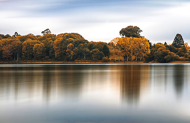 포토 JPG 해외이미지 나무 계절 공원 호수 단풍 잎 밭 자연 건조 풍경 사람없음 야외 목재 물 강 컬러풀 햇빛 반사 갈색 평화 환경 침묵 고요 가을 시골 연못 숲 11월 해외포토 자연요소 식물 공공시설 컬러 컨셉 농업 재료 태양 소리 날짜 생태계 파일형식 이미지허브