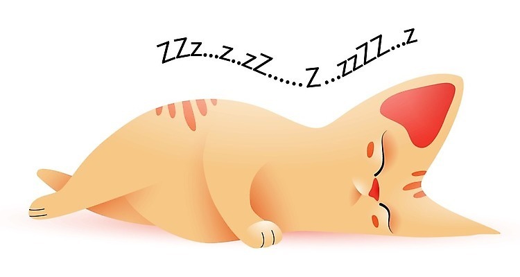 EPS 해외이미지 일러스트 사람없음 눕기 귀여움 잠 고양이캐릭터 살구색 해외일러스트 컬러 동물캐릭터 컨셉 모션 고양이 파일형식 벡터 이미지허브