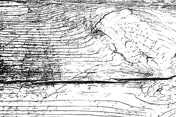 EPS 해외이미지 나무 템플릿 디자인 벽 백그라운드 패턴 일러스트 자연 벽지 탁자 표면 추상 바닥 미술 목재 그래픽 검은색 어둠 고통 수확 흰색 판넬 거친 널 낟알 고민 질감 복고 먼지 덮기 내추럴 그런지 수목 엘리먼트 옛날 파케트 해외일러스트 식물 감정 컬러 가구 무늬 농업 재료 모션 문화예술 생태계 파일형식 벡터 이미지허브