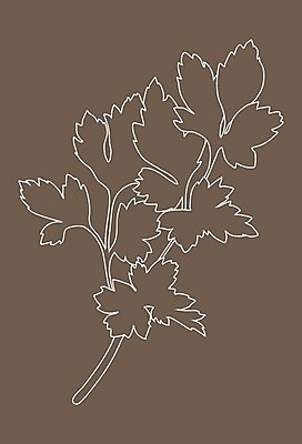 EPS 해외이미지 식물 선 음식 백그라운드 잎 채소 일러스트 재료 자연 파슬리 건강 요리 초록색 정원 샐러드 흰색 나뭇가지 신선 고명 양념 조미료 맛 다발 허브 향신료 오브젝트 싱글 유기농 날것 향기 윤곽 향 내추럴 고립 채식주의자 비건 해외일러스트 나무 웰빙 컬러 컨셉 생태계 채식 냄새 향미료 파일형식 벡터 이미지허브