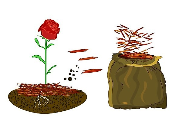 EPS 해외이미지 식물 디자인 배너 꽃 농업 가방 일러스트 주택 간판 풍경 목재 빨간색 장미 라벨 세일 정원 흙 봄 신선 소나무 잡초 플랫 만화 청소 서비스 물주기 흰배경 유기농 원예 조경 번짐 화단 나무껍질 유지 고립 돌봄 뒤뜰 무생채 삼나무 해외일러스트 나무 웰빙 잡화 계절 산업 컬러 백그라운드 재료 모션 프레임 취미 건물 껍질 흰색 파일형식 벡터 효과 이미지허브