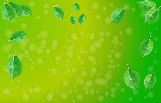 EPS 해외이미지 식물 디자인 배너 행복 포스터 백그라운드 컨셉 잎 패턴 일러스트 자연 벽지 하늘 추상 초록색 빛 햇빛 세일 우주 환경 봄 활발 에너지 나뭇가지 신선 소프트포커스 에코 부드러움 승진 생태학 특별함 카피스페이스 제의 효과 해외일러스트 나무 계절 교육 감정 컬러 무늬 촬영기법 태양 공백 감각 생태계 파일형식 벡터 이미지허브