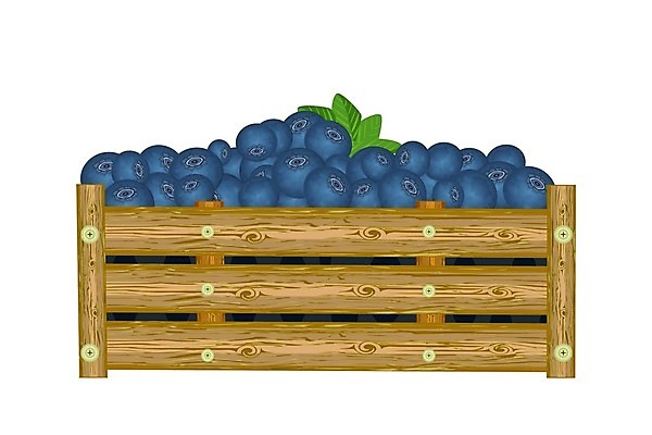 EPS 해외이미지 디자인 배너 열매 음료 음식 백그라운드 잎 농업 과일 일러스트 간판 목재 빨간색 상자 농장 라벨 정원 주스 수확 화물 흰색 시골 신선 시장 널 정상 나무상자 컨테이너 잼 오브젝트 사인 유기농 블루베리 패키지 흙더미 고립 목판화 바이오 숙성 엘리먼트 활자 현실 해외일러스트 나무 식물 웰빙 산업 컬러 재료 프레임 흙 운송업 소스_음식 활자판 파일형식 벡터 더미 이미지허브