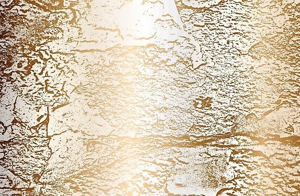 EPS 해외이미지 템플릿 디자인 선 백그라운드 패턴 일러스트 벽지 표면 추상 미술 경사 그래픽 장식 빛 유행 금속 어둠 고통 회색 수확 황금 균열 고급 우아함 인쇄 질감 복고 그런지 석고 전용 철강 콘크리트 프리미엄 스타일 미니멀리스트 해외일러스트 감정 컬러 컨셉 무늬 농업 모션 재질 문화예술 파일형식 벡터 산업 이미지허브