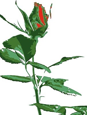 EPS 해외이미지 식물 기념일 꽃잎 꽃 꽃다발 결혼 백그라운드 잎 꽃무늬 패턴 데이트 일러스트 자연 휴가 발렌타인데이 선물 사랑 장식 빨간색 초록색 여름 세트 장미 정원 벚꽃 흰색 축하 신선 오픈 신용카드 생일 닫기 가득함 오브젝트 싱글 내추럴 고립 완전 해외일러스트 계절 감정 컬러 컨셉 무늬 모션 데이이벤트 이벤트 금융 생태계 파일형식 벡터 이미지허브