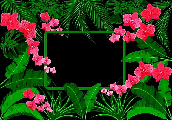 EPS 해외이미지 나무 식물 템플릿 디자인 배너 포스터 분홍색 백그라운드 잎 패턴 일러스트 자연 바나나 손바닥 그림자 미술 그래픽 장식 초록색 빛 컬러풀 유행 정원 흰색 난초 인쇄 심볼 오브젝트 싱글 그림 유기농 엽서 코코넛 내추럴 고립 엘리먼트 현실 디테일 해외일러스트 손 웰빙 컬러 무늬 과일 문화예술 편지 생태계 파일형식 벡터 이미지허브