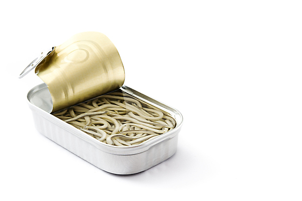 포토 JPG 해외이미지 음식 어류 사람없음 금속 오픈 캔 해산물 홍합 통조림 고립 해외포토 재질 어패류 수중동물 파일형식 이미지허브