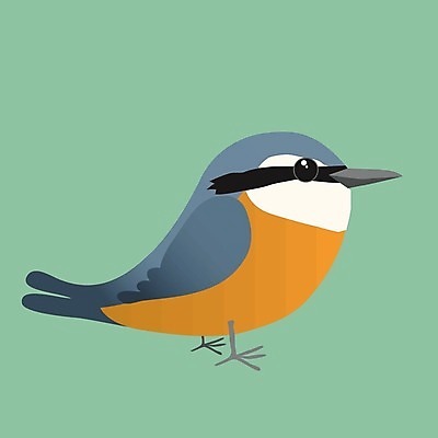 EPS 해외이미지 나무 동물 야생동물 일러스트 자연 조류 귀여움 정원 검은색 나뭇가지 숲 작음 만화 깃털 부리 코믹 계산서 해외일러스트 식물 컬러 컨셉 크기 생태계 파일형식 벡터 이미지허브