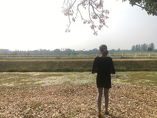 포토 JPG 해외이미지 나무 백인 1 라이프스타일 공원 여자 행복 여행 백그라운드 겨울 밭 자연 하늘 사람 풍경 성인 사람없음 야외 여름 햇빛 농장 정원 가을 흰색 시골 혼자 해외포토 서양인 식물 계절 공공시설 감정 컬러 농업 생활 태양 생태계 파일형식 이미지허브