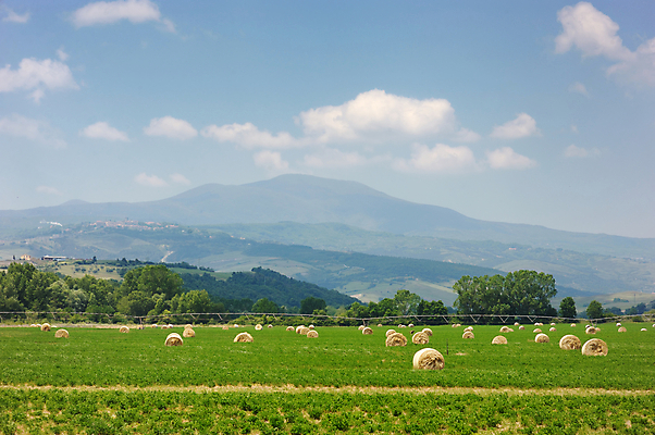 포토 JPG 해외이미지 구름 밭 농업 자연 하늘 산 건조 풍경 사람없음 초록색 여름 파란색 농장 농경지 노란색 수확 성장 시골 원형 황금 볏짚 작음 낟알 땅 밀 눈금 롤 뭉치 밀짚 내추럴 밭일 호밀 수평선 해외포토 자연요소 도형 계절 산업 컬러 곡류 짚 크기 생태계 파일형식 이미지허브