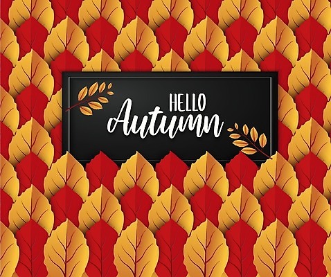 EPS 해외이미지 나무 식물 템플릿 디자인 배너 계절 포스터 리플렛 백그라운드 컨셉 단풍 잎 오렌지 일러스트 캘리그라피 텍스트 자연 벽지 휴가 프레임 선물 그래픽 장식 빨간색 컬러풀 노란색 라벨 세일 수확 가을 신용카드 인쇄 9월 사인 질감 초대 주말 추수감사절 10월 엘리먼트 레터링 해외일러스트 기독교 컬러 농업 과일 금융 날짜 생태계 파일형식 벡터 이미지허브