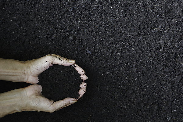 포토 JPG 해외이미지 손 지구 백그라운드 컨셉 패턴 밭 농업 자연 표면 사람없음 농장 갈색 환경 정원 흙 성장 흰색 신선 닫기 보호 땅 묘사 유기농 원예 질감 먼지 진흙 내추럴 고립 그런지 땅바닥 생태학 세련 해외포토 웰빙 교육 산업 컬러 무늬 모션 바닥 취미 신체부위 생태계 파일형식 이미지허브