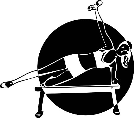 EPS 해외이미지 여자 일러스트 건강 한명 사람 성인 운동복 검은색 아령 요가자세 흰색 필라테스 성인여자한명만 해외일러스트 1 옷 컬러 포즈 요가 운동 여자한명만 성인여자만 파일형식 벡터 이미지허브