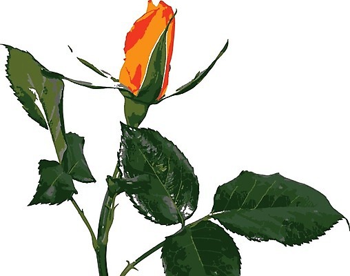 EPS 해외이미지 식물 기념일 꽃잎 꽃 꽃다발 결혼 백그라운드 잎 꽃무늬 패턴 데이트 일러스트 자연 휴가 발렌타인데이 선물 사랑 장식 빨간색 초록색 여름 세트 장미 정원 벚꽃 흰색 축하 신선 오픈 신용카드 생일 닫기 가득함 오브젝트 싱글 내추럴 고립 완전 해외일러스트 계절 감정 컬러 컨셉 무늬 모션 데이이벤트 이벤트 금융 생태계 파일형식 벡터 이미지허브