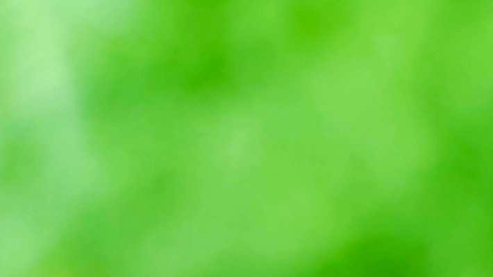 포토 JPG 해외이미지 템플릿 디자인 파도 백그라운드 잎 패턴 곡선 일러스트 자연 벽지 추상 미래 창조 미술 경사 사람없음 가로 초록색 빛 컬러풀 햇빛 우주 맑음 수중 공백 흐름 흰색 매끈함 소프트포커스 질감 보케 심플 부드러움 비네팅 깊이 블러 터키석 카피스페이스 해외일러스트 식물 선 바다 컬러 컨셉 무늬 날씨 문화예술 촬영기법 태양 감각 보석 생태계 파일형식 이미지허브