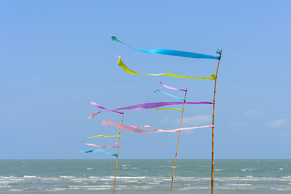 포토 JPG 해외이미지 구름 디자인 리본 선 파도 바다 분홍색 백그라운드 패턴 밭 자연 하늘 바람 날씨 추상 풍경 사람없음 야외 물 여름 파란색 컬러풀 노란색 우주 보라색 활발 흰색 기둥 연못 코드 땅 묶기 대나무 테이프 장면 지형 지역 봉 내추럴 구성 지리 스타일 해외포토 자연요소 나무 계절 건축 컬러 컨셉 무늬 농업 모션 문구용품 생태계 파일형식 이미지허브