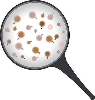 EPS 해외이미지 컨셉 일러스트 돋보기 생물 병원 실험 그래픽 약 시험 환자 흰색 실험실 보호 질병 생명공학 분석 생물학 감염 전염 미생물 테라피 박테리아 고립 곰팡이 위생관리 유전 전염병 항생제 해외일러스트 교육 컬러 의학 관리 뷰티 파일형식 벡터 이미지허브