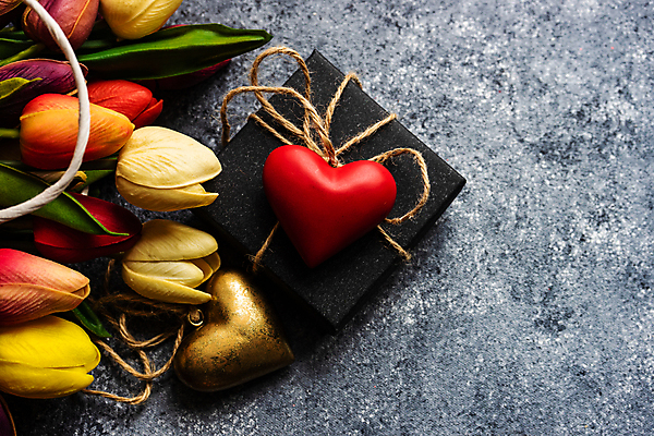 포토 JPG 해외이미지 리본 회색배경 사람없음 장식 선물상자 튤립 하트 카피스페이스 해외포토 모양 꽃 백그라운드 선물 상자 공백 회색 파일형식 이미지허브