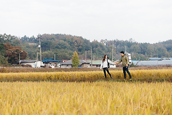 포토 JPG 주간 전신 커플 여자 남자 여행 배낭 아웃도어 사람 풍경 20대 성인 야외 두명 앞모습 옆모습 걷기 손잡기 한국인 벼 가을 농촌 시골 논두렁 논밭 성인만 국내포토 여주시 자연요소 계절 뷰포인트 밭 가방 관계 모션 곡류 논 동양인 청년 경기도 파일형식