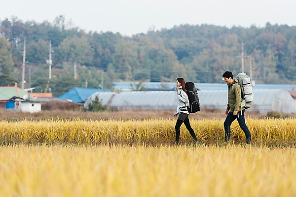 포토 JPG 주간 전신 커플 여자 남자 여행 배낭 주택 아웃도어 사람 풍경 20대 성인 야외 두명 옆모습 걷기 한국인 벼 가을 농촌 시골 논두렁 논밭 성인만 국내포토 여주시 자연요소 계절 뷰포인트 밭 가방 관계 모션 곡류 논 동양인 청년 건물 경기도 파일형식