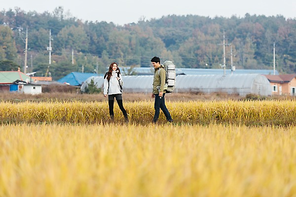 포토 JPG 주간 전신 커플 여자 남자 여행 배낭 아웃도어 미소 사람 풍경 20대 성인 야외 두명 앞모습 옆모습 걷기 한국인 벼 가을 농촌 시골 논두렁 논밭 성인만 국내포토 여주시 자연요소 계절 뷰포인트 밭 가방 관계 모션 곡류 논 표정 동양인 청년 경기도 파일형식