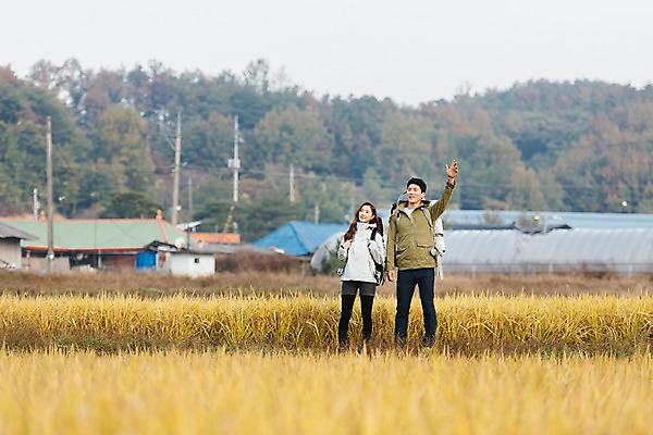 포토 JPG 주간 전신 커플 여자 남자 여행 배낭 주택 아웃도어 서기 미소 사람 풍경 20대 성인 야외 두명 앞모습 손들기 한국인 벼 가을 농촌 시골 인사 논두렁 논밭 성인만 국내포토 여주시 자연요소 계절 뷰포인트 밭 가방 관계 모션 곡류 논 표정 동양인 청년 건물 예절 경기도 파일형식