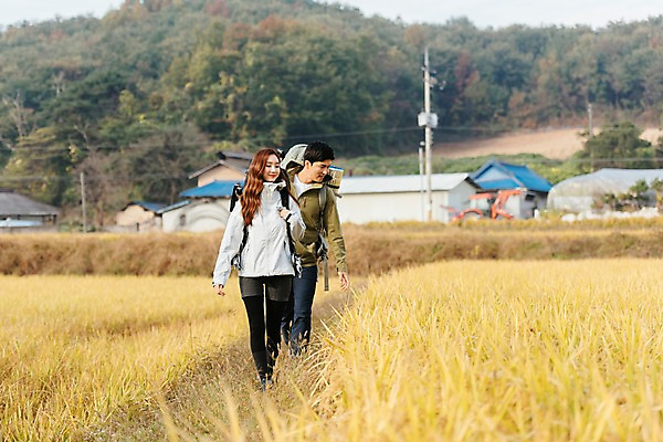 포토 JPG 주간 전신 커플 응시 여자 남자 여행 배낭 주택 아웃도어 미소 사람 풍경 상반신 20대 성인 야외 두명 앞모습 걷기 한국인 벼 가을 농촌 시골 논두렁 논밭 성인만 국내포토 여주시 자연요소 시선 계절 뷰포인트 밭 가방 관계 모션 곡류 논 표정 동양인 청년 건물 경기도 파일형식