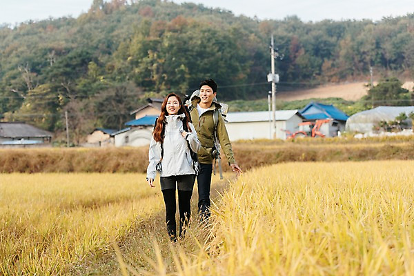 포토 JPG 주간 커플 응시 여자 남자 여행 배낭 아웃도어 미소 사람 풍경 상반신 20대 성인 야외 두명 앞모습 걷기 한국인 벼 가을 농촌 시골 논두렁 논밭 성인만 국내포토 여주시 자연요소 시선 계절 뷰포인트 밭 가방 관계 모션 곡류 논 표정 동양인 청년 경기도 파일형식