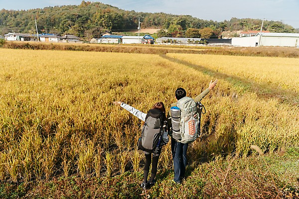 포토 JPG 주간 전신 커플 여자 남자 여행 배낭 팔벌리기 아웃도어 사람 풍경 20대 성인 야외 두명 뒷모습 손들기 걷기 한국인 가을 농촌 시골 논밭 성인만 국내포토 여주시 자연요소 계절 뷰포인트 밭 가방 관계 모션 논 동양인 청년 경기도 파일형식