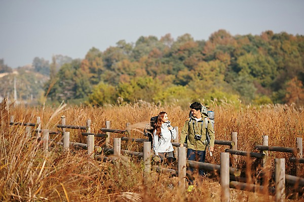 포토 JPG 주간 커플 여자 남자 여행 배낭 아웃도어 미소 사람 상반신 20대 성인 야외 두명 앞모습 옆모습 울타리 마주보기 걷기 카메라 가을풍경 트래킹 산책로 한국인 가을 억새밭 성인만 강천섬 국내포토 여주시 자연요소 계절 길 뷰포인트 섬 가방 관계 모션 레저 표정 동양인 풍경 청년 전자제품 담장 억새 경기도 파일형식 여주_지역 가을_계절