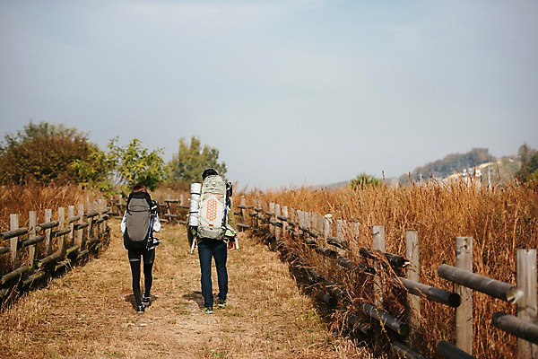 포토 JPG 주간 전신 커플 여자 남자 여행 배낭 아웃도어 사람 20대 성인 야외 두명 뒷모습 울타리 걷기 가을풍경 트래킹 산책로 한국인 가을 억새밭 성인만 강천섬 국내포토 여주시 자연요소 계절 길 뷰포인트 섬 가방 관계 모션 레저 동양인 풍경 청년 담장 억새 경기도 파일형식 여주_지역 가을_계절