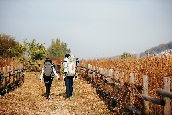 포토 JPG 주간 전신 커플 여자 남자 여행 배낭 아웃도어 사람 풍경 20대 성인 야외 두명 뒷모습 울타리 걷기 가을풍경 손잡기 다정 트래킹 산책로 한국인 가을 억새밭 성인만 강천섬 국내포토 여주시 자연요소 계절 길 뷰포인트 섬 컨셉 가방 관계 모션 레저 동양인 청년 담장 억새 경기도 파일형식 여주_지역 가을_계절