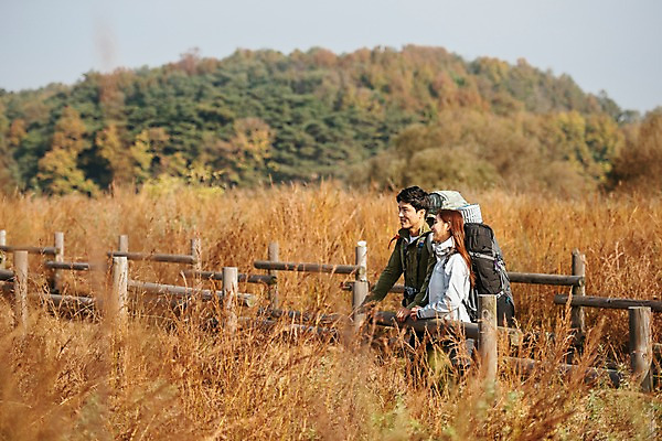 포토 JPG 주간 커플 응시 여자 남자 여행 배낭 아웃도어 서기 미소 사람 풍경 상반신 20대 성인 야외 두명 옆모습 울타리 가을풍경 기댐 트래킹 한국인 가을 잡기 억새밭 성인만 강천섬 국내포토 여주시 자연요소 시선 계절 뷰포인트 섬 가방 관계 모션 레저 표정 동양인 청년 담장 억새 경기도 파일형식 여주_지역 가을_계절