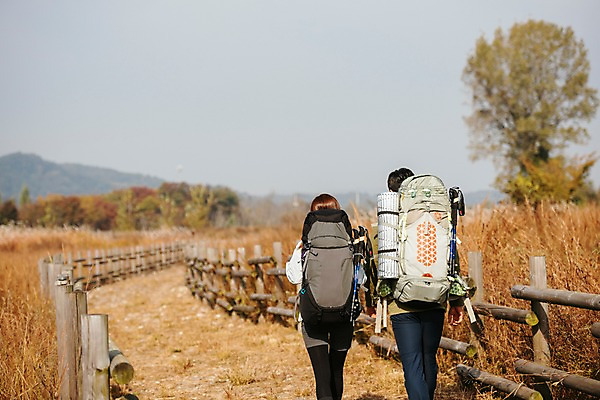 포토 JPG 주간 커플 여자 남자 여행 배낭 아웃도어 사람 상반신 20대 성인 야외 두명 뒷모습 울타리 걷기 가을풍경 트래킹 한국인 가을 억새밭 성인만 강천섬 국내포토 여주시 자연요소 계절 뷰포인트 섬 가방 관계 모션 레저 동양인 풍경 청년 담장 억새 경기도 파일형식 여주_지역 가을_계절