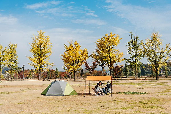 포토 JPG 주간 전신 나무 구름 커플 여자 남자 여유 여행 하늘 휴식 아웃도어 텐트 대화 사람 앉기 풍경 초원 20대 성인 야외 두명 옆모습 맑음 캠핑 한국인 가을 힐링 야외의자 성인만 소확행 강천섬 국내포토 여주시 자연요소 식물 계절 감정 뷰포인트 섬 컨셉 의자 관계 모션 레저 날씨 캠핑도구 말하기 동양인 청년 신조어 경기도 파일형식 여주_지역