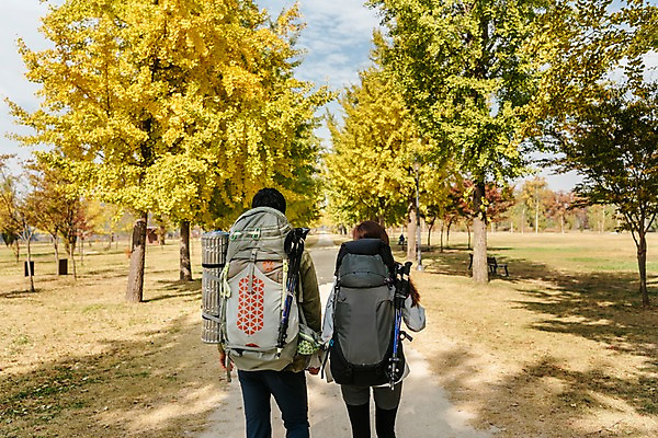포토 JPG 주간 커플 여자 남자 여행 배낭 단풍나무 아웃도어 사람 풍경 초원 상반신 20대 성인 야외 두명 뒷모습 걷기 가을풍경 트래킹 한국인 가을 가로수 은행나무 성인만 강천섬 국내포토 여주시 자연요소 나무 계절 뷰포인트 섬 단풍 가방 관계 모션 레저 동양인 청년 경기도 파일형식 여주_지역 가을_계절