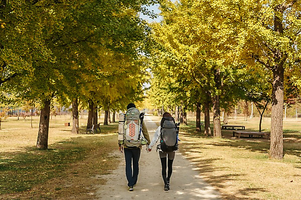 포토 JPG 주간 전신 커플 여자 남자 여행 배낭 단풍나무 아웃도어 사람 풍경 초원 20대 성인 야외 두명 뒷모습 걷기 가을풍경 손잡기 다정 트래킹 한국인 가을 가로수 은행나무 성인만 강천섬 국내포토 여주시 자연요소 나무 계절 뷰포인트 섬 컨셉 단풍 가방 관계 모션 레저 동양인 청년 경기도 파일형식 여주_지역 가을_계절