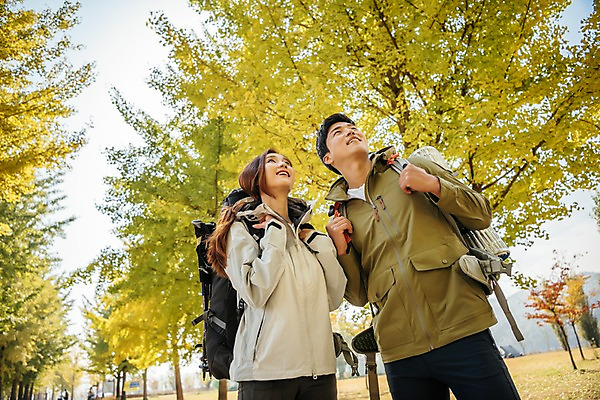 포토 JPG 주간 커플 응시 여자 남자 로우앵글 여행 배낭 단풍나무 아웃도어 서기 미소 사람 초원 상반신 20대 성인 야외 두명 앞모습 가을풍경 트래킹 한국인 올려보기 가을 잡기 은행나무 성인만 강천섬 국내포토 여주시 자연요소 나무 시선 계절 뷰포인트 섬 단풍 가방 관계 모션 레저 표정 동양인 풍경 청년 경기도 파일형식 여주_지역 가을_계절