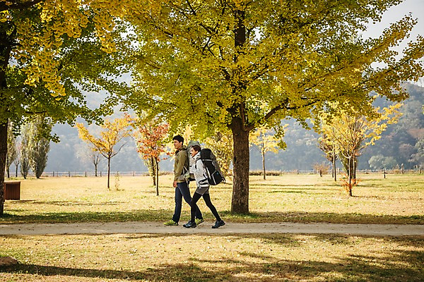포토 JPG 주간 전신 커플 응시 여자 남자 여행 배낭 단풍나무 아웃도어 사람 풍경 초원 20대 성인 야외 두명 옆모습 걷기 가을풍경 트래킹 한국인 가을 가로수 은행나무 성인만 강천섬 국내포토 여주시 자연요소 나무 시선 계절 뷰포인트 섬 단풍 가방 관계 모션 레저 동양인 청년 경기도 파일형식 여주_지역 가을_계절