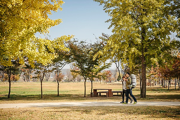 포토 JPG 주간 전신 커플 여자 남자 여행 벤치 배낭 단풍나무 아웃도어 사람 풍경 초원 20대 성인 야외 두명 옆모습 걷기 가을풍경 트래킹 한국인 가을 가로수 은행나무 성인만 강천섬 국내포토 여주시 자연요소 나무 계절 뷰포인트 섬 단풍 의자 가방 관계 모션 레저 동양인 청년 경기도 파일형식 여주_지역 가을_계절