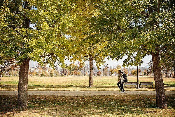 포토 JPG 주간 전신 커플 여자 남자 여행 벤치 배낭 단풍나무 아웃도어 사람 풍경 초원 20대 성인 야외 두명 옆모습 걷기 가을풍경 트래킹 한국인 가을 가로수 은행나무 성인만 강천섬 국내포토 여주시 자연요소 나무 계절 뷰포인트 섬 단풍 의자 가방 관계 모션 레저 동양인 청년 경기도 파일형식 여주_지역 가을_계절