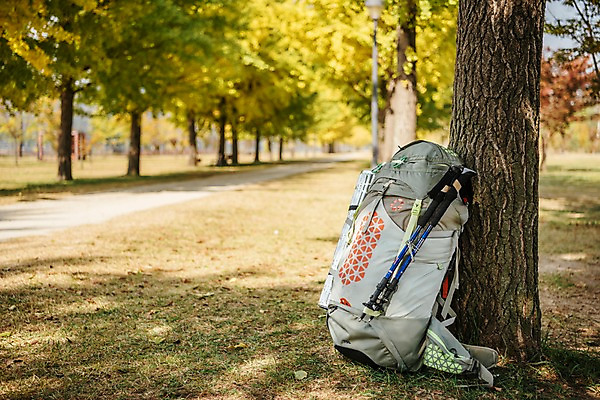 포토 JPG 주간 공원 여행 배낭 풍경 초원 사람없음 야외 가을풍경 기댐 트래킹 가을 가로수 나무기둥 은행나무 강천섬 국내포토 여주시 자연요소 나무 계절 공공시설 섬 가방 모션 레저 경기도 파일형식 여주_지역 가을_계절
