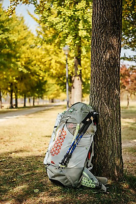 포토 JPG 주간 공원 여행 배낭 풍경 초원 사람없음 야외 가을풍경 트래킹 가을 가로수 나무기둥 은행나무 강천섬 국내포토 여주시 자연요소 나무 계절 공공시설 섬 가방 레저 경기도 파일형식 여주_지역 가을_계절