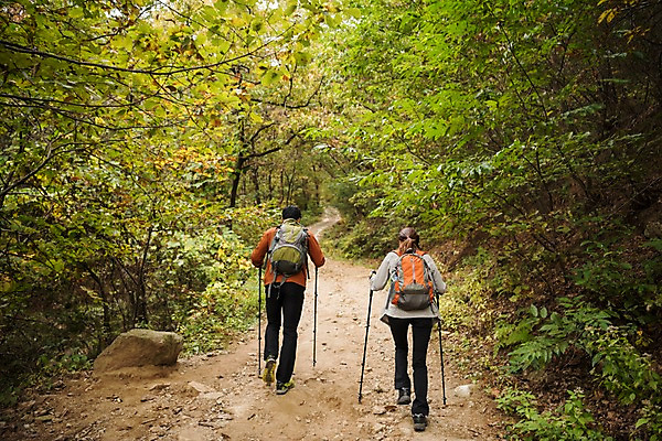 포토 자연요소 식물 계절 길 뷰포인트 가방 관계 모션 사람 동양인 청년 트래킹 성 숲 등산용품 경기도 파일형식 여주_지역 나무 등산 걷기 오르기 숲속 숲길 등산스틱 배낭 뒷모습 전신 JPG 20대 한국인 커플 두명 성인 여자 남자 성인만 주간 야외 여행 여주시 파사성 가을 아웃도어 취미 풍경 국내포토