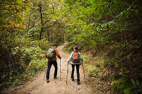 포토 JPG 주간 전신 나무 커플 여자 남자 여행 배낭 아웃도어 대화 사람 풍경 20대 성인 취미 야외 두명 뒷모습 마주보기 걷기 등산 한국인 가을 숲속 오르기 숲길 등산스틱 성인만 파사성 국내포토 여주시 자연요소 식물 계절 길 뷰포인트 가방 관계 모션 말하기 동양인 청년 트래킹 성 숲 등산용품 경기도 파일형식 여주_지역