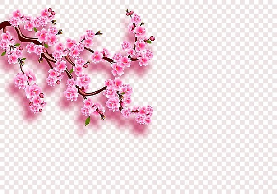 EPS 해외이미지 나무 전통 디자인 계절 꽃잎 꽃 아시아 문화 분홍색 결혼 백그라운드 잎 꽃무늬 일러스트 자연 세포 그림자 장식 여름 일본 중국 일몰 봄 벚꽃 나뭇가지 축하 신용카드 투명 체리 심볼 오브젝트 체크무늬 동쪽 고립 엘리먼트 이국적 현실 해외일러스트 식물 나라 컬러 컨셉 무늬 과일 이벤트 금융 노을 방향 생태계 파일형식 벡터 이미지허브