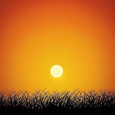 EPS 해외이미지 디자인 계절 백그라운드 잎 패턴 오렌지 일러스트 자연 아침 추상 미술 풍경 잔디 장식 여름 빛 햇빛 반사 일출 환경 정원 맑음 일몰 봄 새벽 덮개 시골 야간 이슬 땅 클립 심플 노려봄 내추럴 땅바닥 해외일러스트 주간 자연요소 식물 무늬 과일 날씨 문화예술 바닥 표정 태양 노을 뚜껑 생태계 파일형식 벡터 이미지허브