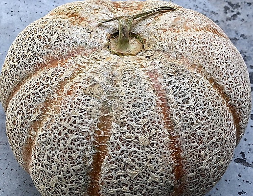 포토 JPG 해외이미지 식물 디자인 음식 백그라운드 패턴 농업 과일 재료 자연 표면 추상 사람없음 초록색 물 여름 갈색 흰색 신선 그물 시장 달콤 맛 멜론 먹기 피부 유기농 질감 날것 잡종 내추럴 고립 숙성 옛날 비건 해외포토 자연요소 웰빙 계절 산업 컬러 컨셉 무늬 모션 신체부위 생태계 채식주의자 파일형식 이미지허브